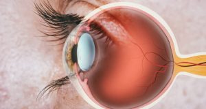 Structure of human eye. In side view.