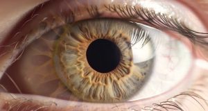 Seamless stop-animation set. Quick flicker of many beautiful human eyes.
